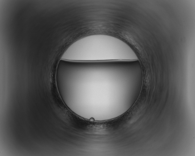 X0000088630639200705250859