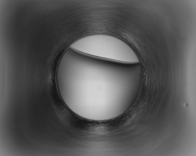 X0000088630643200705250859