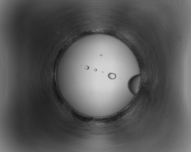 X0000088630648200705250859