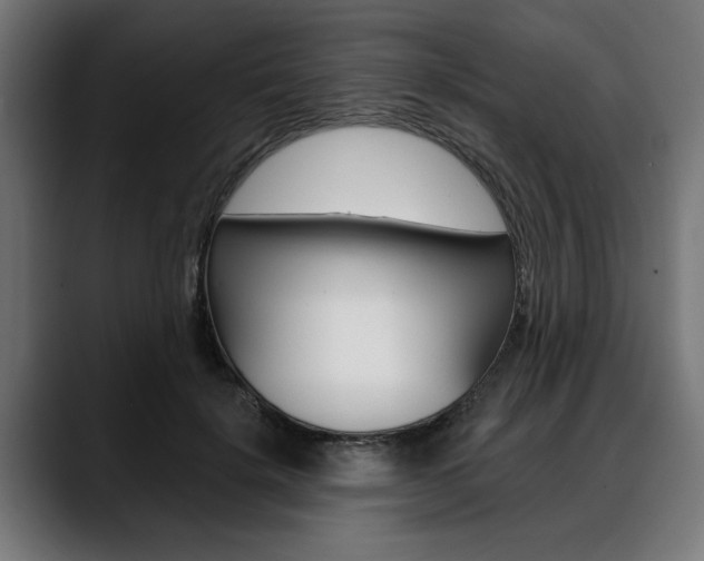 X0000088630652200705250859