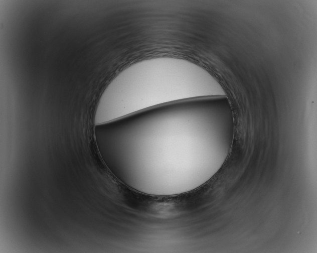 X0000088630653200705250859