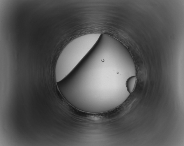 X0000088630654200705250859