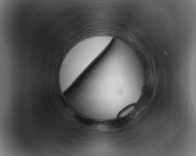 X0000088630655200705250859