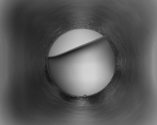 X0000088630656200705250859