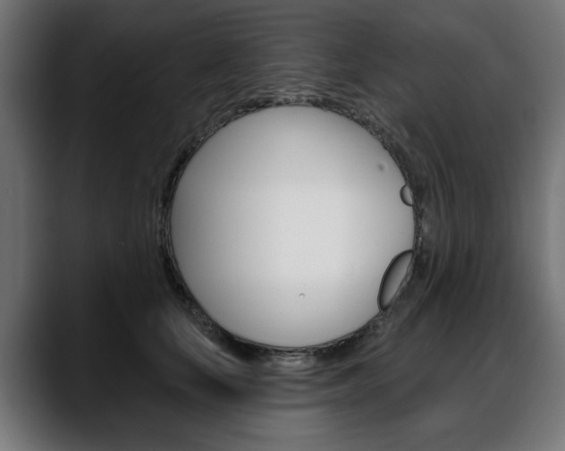 X0000088630659200705250859