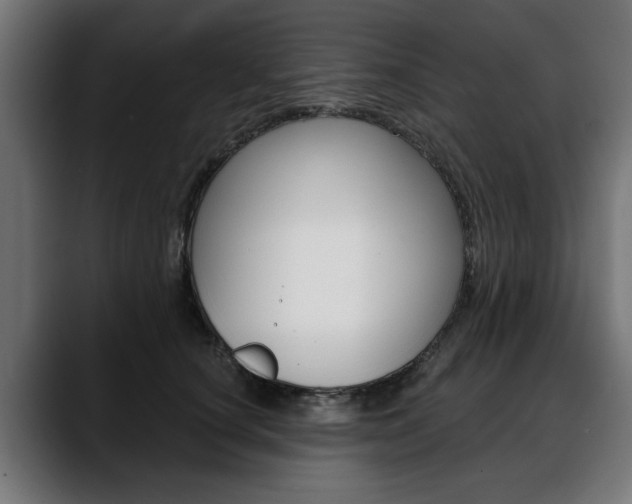 X0000088630660200705250859