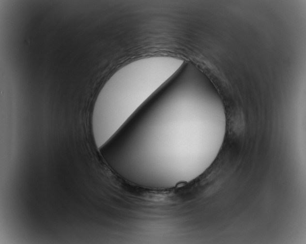 X0000088630661200705250859