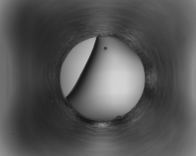 X0000088630662200705250859