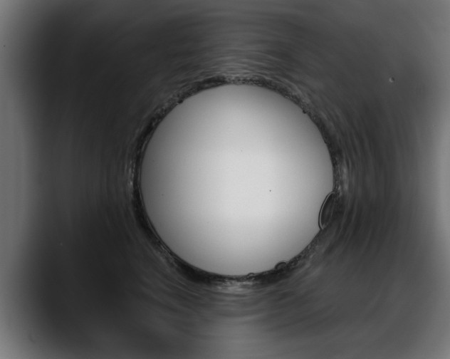 X0000088630664200705250859