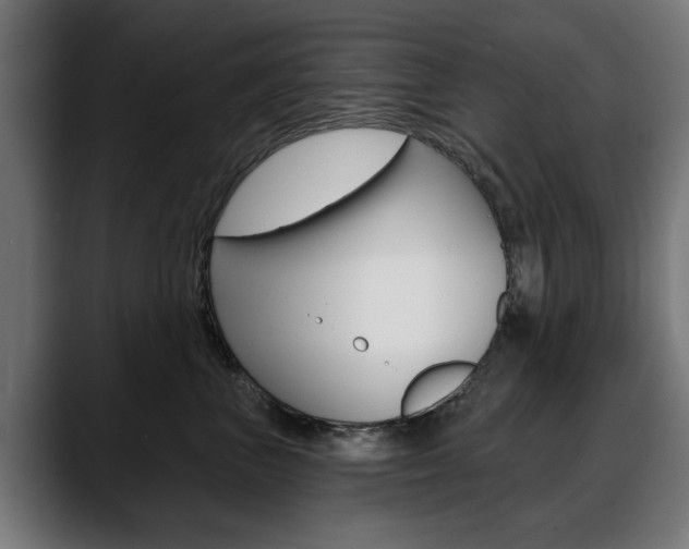X0000088630667200705250859