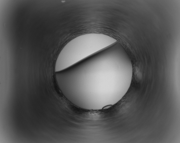 X0000088630668200705250859