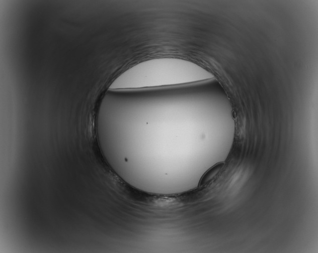 X0000088630669200705250859