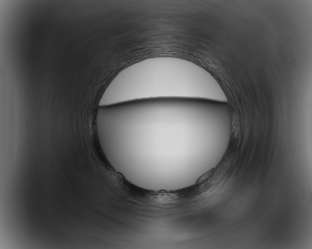 X0000088630670200705250859