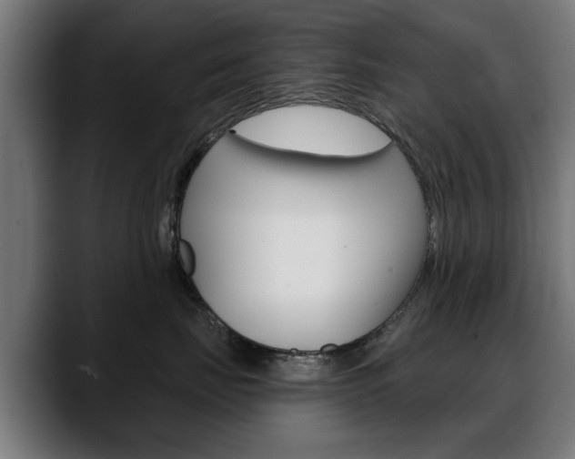 X0000088630671200705250859