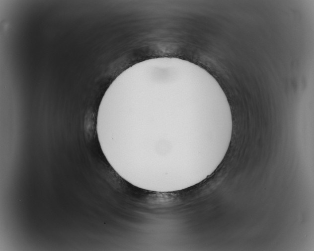 X0000088630672200705250859