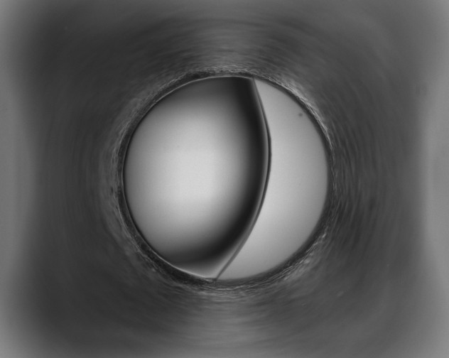 X0000088630673200705250858