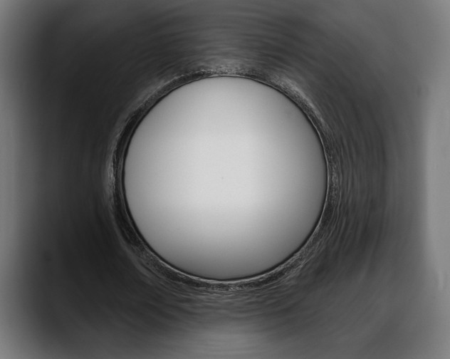 X0000088630674200705250858
