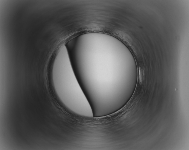 X0000088630675200705250858