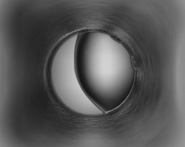 X0000088630676200705250858