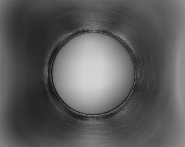 X0000088630678200705250858