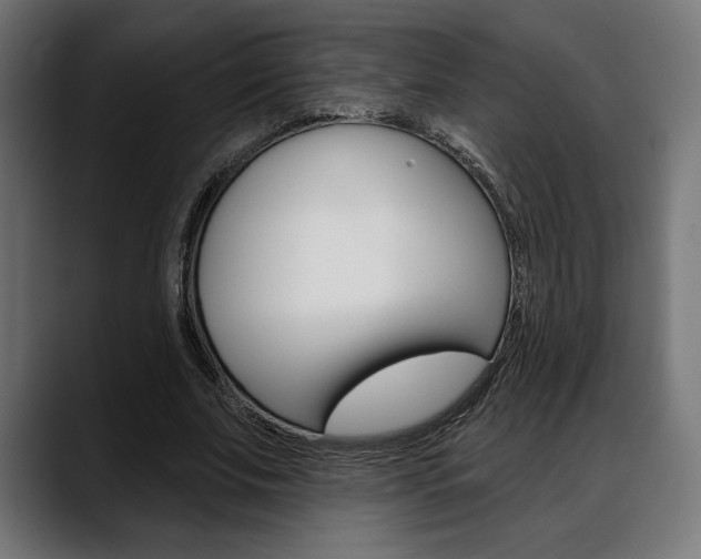 X0000088630679200705250858