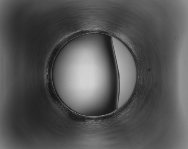 X0000088630680200705250858
