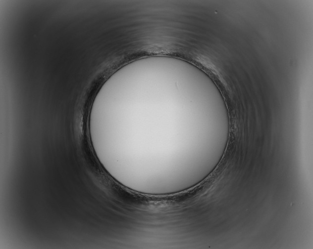 X0000088630686200705250858