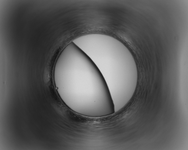 X0000088630687200705250858