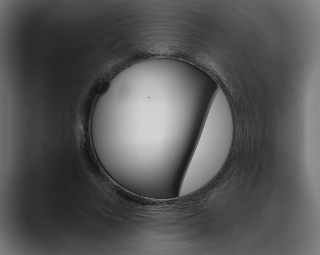 X0000088630688200705250858
