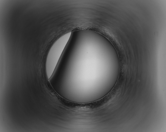 X0000088630689200705250858