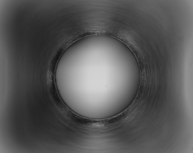 X0000088630692200705250858