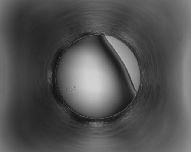 X0000088630693200705250858