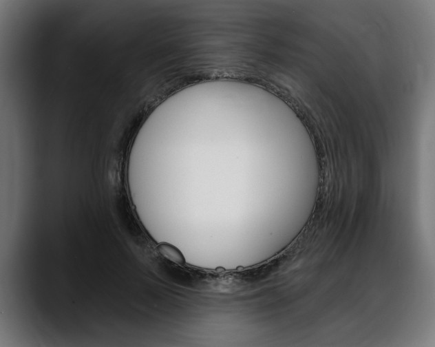 X0000088630695200705250858