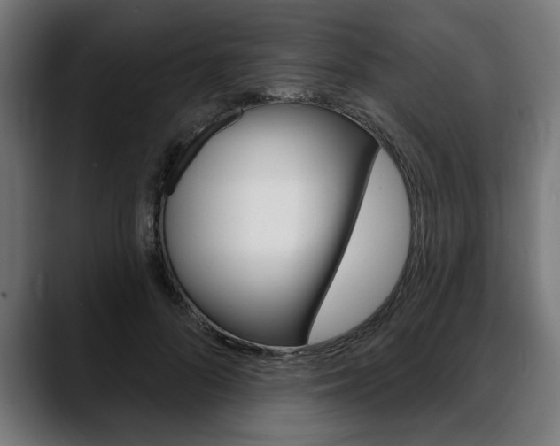 X0000088630696200705250858