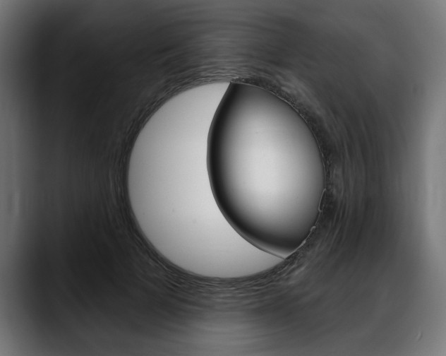 X0000088630697200705250858