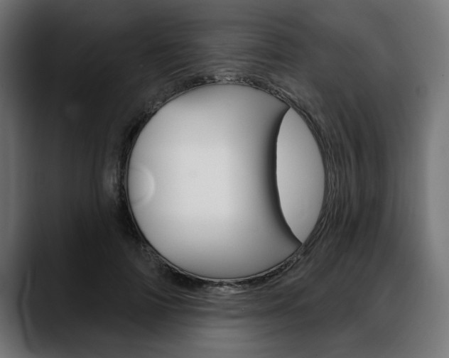 X0000088630698200705250858