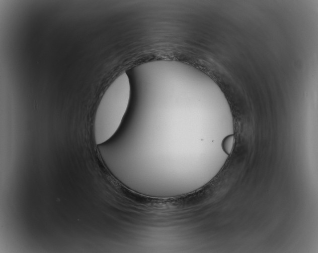 X0000088630702200705250858