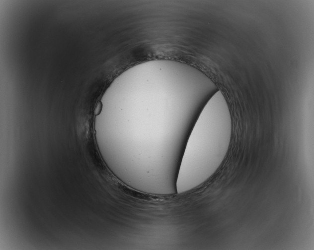 X0000088630703200705250858