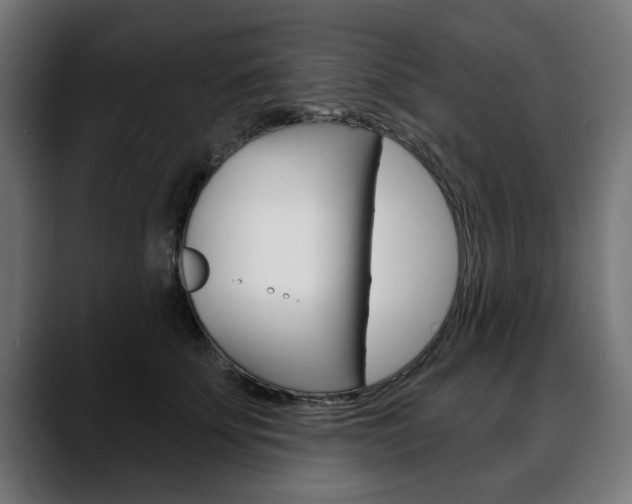X0000088630707200705250858