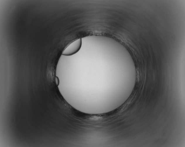 X0000088630718200705250858