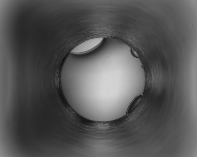 X0000088630719200705250858