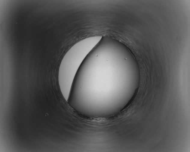 X0000088630720200705250858