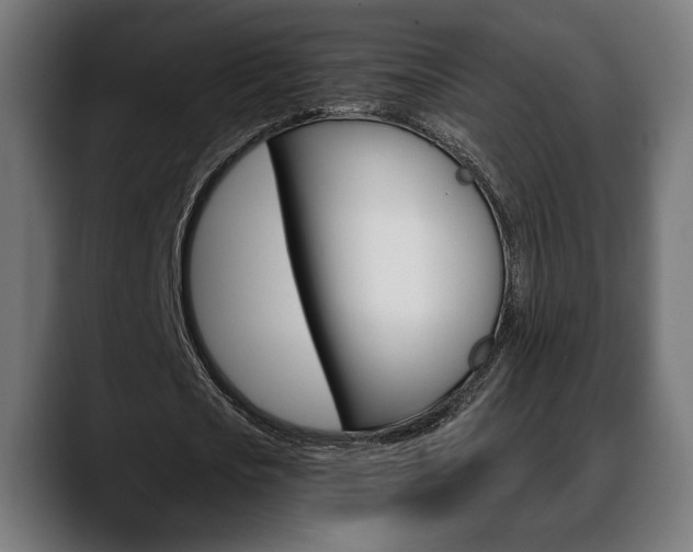 X0000088630721200705250857