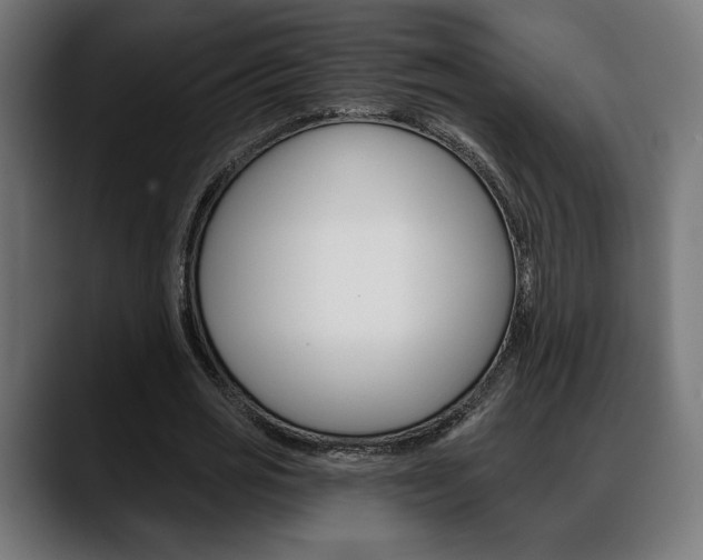 X0000088630725200705250857