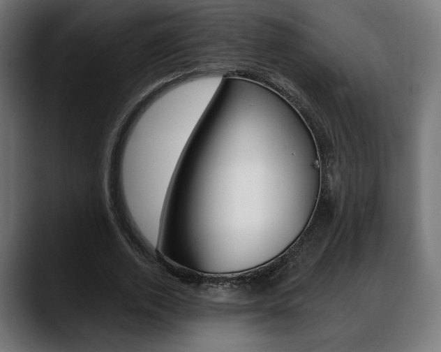 X0000088630728200705250857
