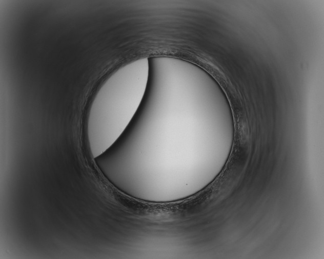 X0000088630729200705250857