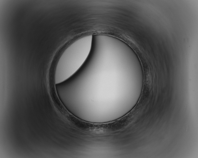 X0000088630730200705250857