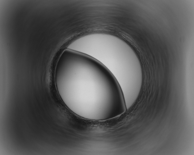 X0000088630732200705250857