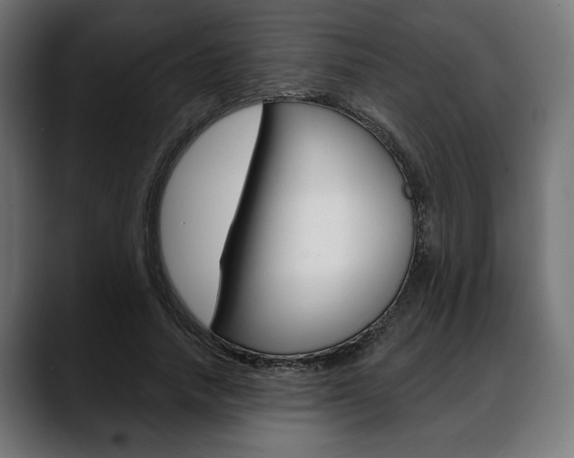 X0000088630738200705250857