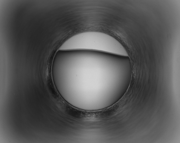 X0000088630740200705250857